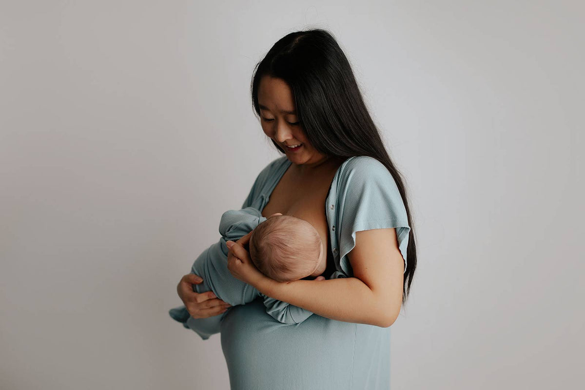 Blue Bird Maternity Labor, Delivery & Nursing Gown (Size 2)